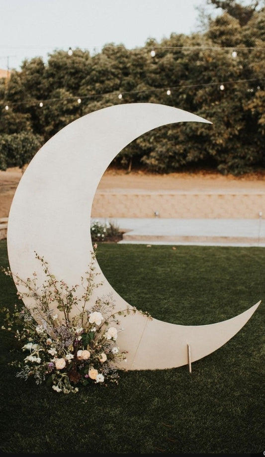 Moon Backdrop for Hire
